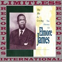 Elmore James - My Best Friend