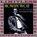 Howlin Wolf - I Didn t Mean To Hurt Your Feelin