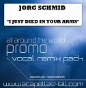 Jorg Schmid - I Just Died In Your Arms DJ Solovey remix Radio…