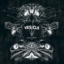 Vesicle - We Are Lost