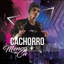 Menor Da CN - Cachorro Sem Dono