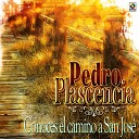 Pedro Plascencia - Mi Amor Por Ti