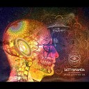 Sattyananda feat Shubha Mudgal - Rhythmic Flight Original Mix