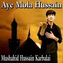 Mushahid Hussain Karbalai - Ae Naezy Walo Mere Asghar Ko Na Maro