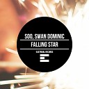 DJ Soo Swan Domnic - Falling Star Original Mix