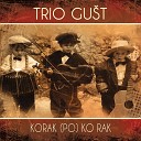 Trio Gust - Ruzinava vila