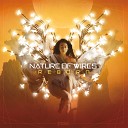 Nature Of Wires - Try