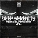 Deep Serenity feat Bibi Provence - Love Is Who You Are Original Mix