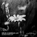 Grue Markus Luv - Euphoria Original Mix