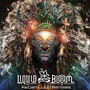 Liquid Bloom - Roots of The Earth SALIS Remix