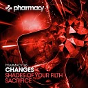 Changes - Sacrifice Original Mix