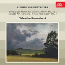 Valentina Kamen kov - Piano Sonata No 32 in C Minor Op 111 II Arietta Adagio molto semplice e…