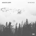 Acoustic Loops - No Wounds Original Mix