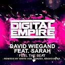 David Wiegand feat Sarah - Feel The Beat Original Mix