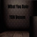 YVN Venom - What You Doin