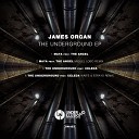 James Organ feat The Angel feat The Angel - Maya Original Mix