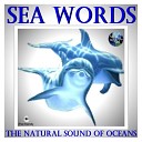 Sea Words - The Twelve Meridians