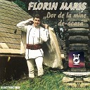 Florin Mari - Am Nevast N Am O Mie