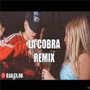 DJ ALEX - La Cobra Remix