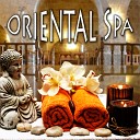 Healing Oriental Spa Collection - Wellness Spa Selection of Chill Out and Lounge to Relax Serenity Relaxing…
