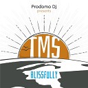 Prodomo DJ TMS - Blissfully