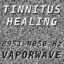 Vaporwave - Tinnitus Healing for Damage at 9005 Hertz