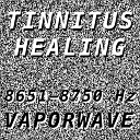 Vaporwave - Tinnitus Healing for Damage at 8671 Hertz