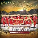 Mariachi Estrella De M xico - Canto a Mexico