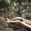 Rain Sounds White Noise Water Sound Natural White Noise Rain Sounds Rain For Deep… - Water On The Leaves