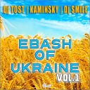 Dj Tost Kaminsky Dj SmiLe - 06 EBASH of Ukraine vol 1 2014 FRESH MIX…