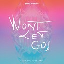 Big Fish feat David Blank - Won t Let Go Kharfi Remix