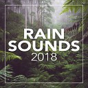 Rain Sounds - Real Summer Vibe Original Mix