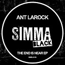 Ant LaRock - The End Is Near Original Mix