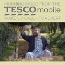 London Philharmonic Orchestra - Morning Mood From The Tesco Mobile Wake up Call T V…