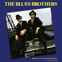 Blues Brothers - Shake Your Tail Feathers