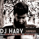 Dj Hary - Trying Harder Niko Kruegel Remix