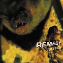 Remedy - Stand by your Side Live