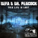 Dr Peacock Sefa feat MC Lenny - Trip To Turkey Original Mix
