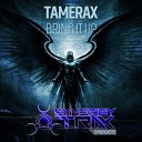 Tamerax - Bring It Up Original Mix