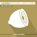 Tomy Wahl Danny Torres - I Am Original Mix
