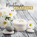 Relaxar Medita o Clube Natureza Musica Bem Estar Academia Conjunto de M sica de Medita o… - Floresta M gica