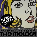 Juan Tamayo Principe DJ - The Melody Juan Tamayo Remix