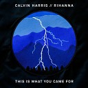 Calvin Harris ft Rihanna - This Is What You Came For Gioni Remix