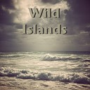 Wild Islands - Forever Young