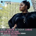 Sebb Junior Tasha LaRae - Never Be Alone AVA Remix