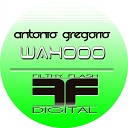 Antonio Gregorio - Wahoo Original Mix