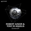 Robert Junior Tony Di Angelis - Cyclone Original Mix