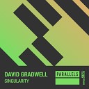 David Gradwell - Singularity Original Mix