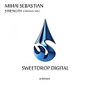 Mihai Sebastian - Strength Original Mix