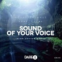 NoahStradamus feat VEGAS - Sound Of Your Voice Nino Kattan Remix